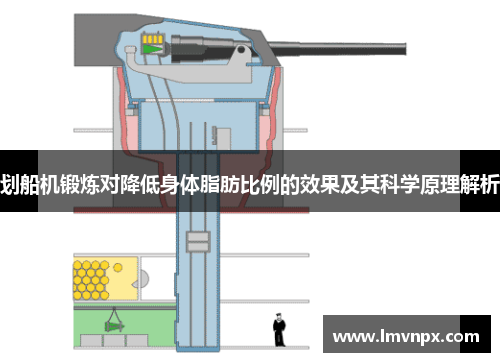 划船机锻炼对降低身体脂肪比例的效果及其科学原理解析