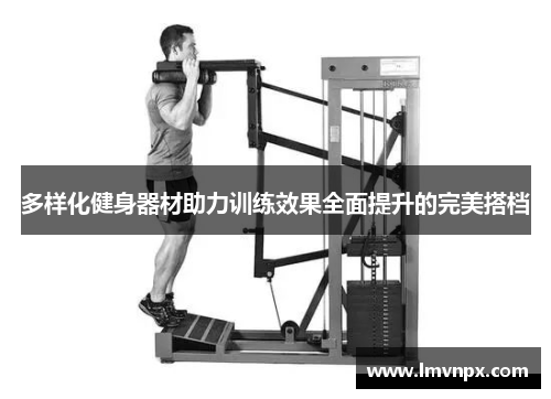 多样化健身器材助力训练效果全面提升的完美搭档